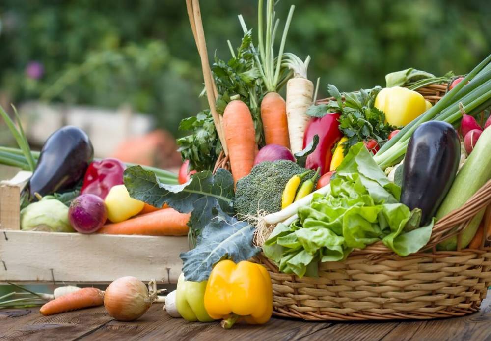 Как вырастить овощи без нитратов: 7 золотых правил - ogorod.ru