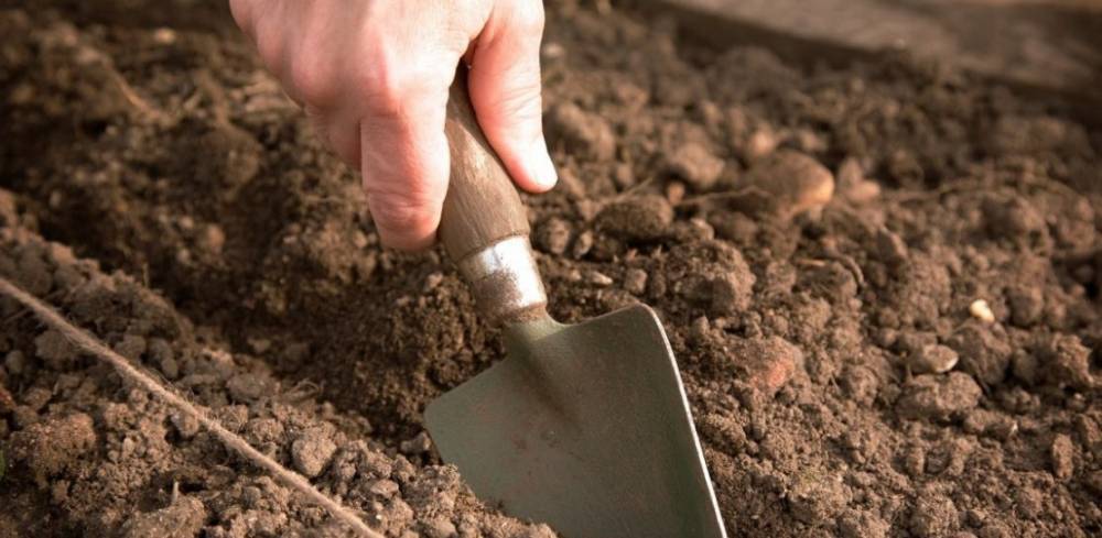Как улучшить почву на садовом участке - 7ogorod.ru