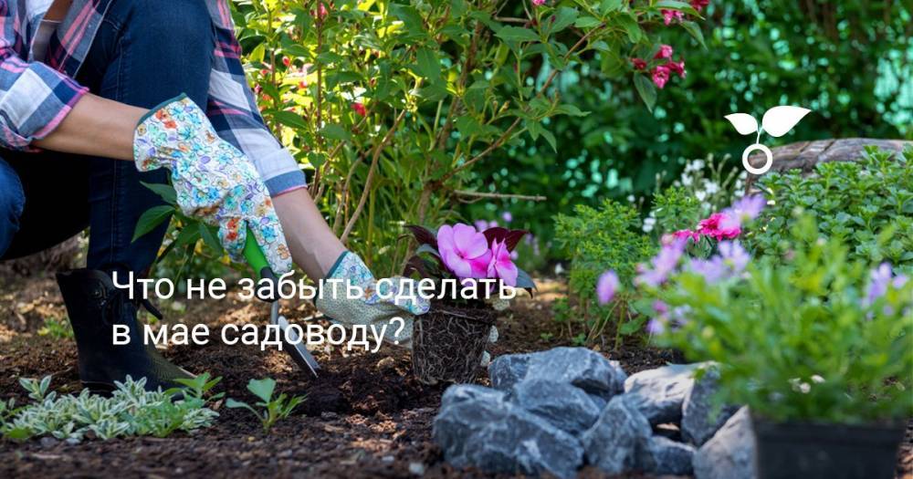 Что не забыть сделать в мае садоводу? - botanichka.ru