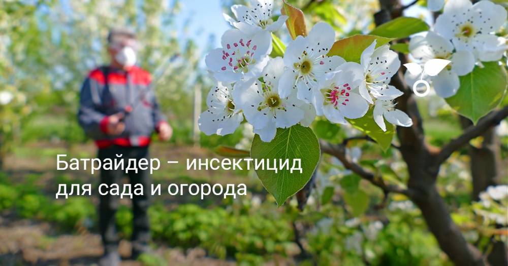 Батрайдер – инсектицид для сада и огорода - botanichka.ru