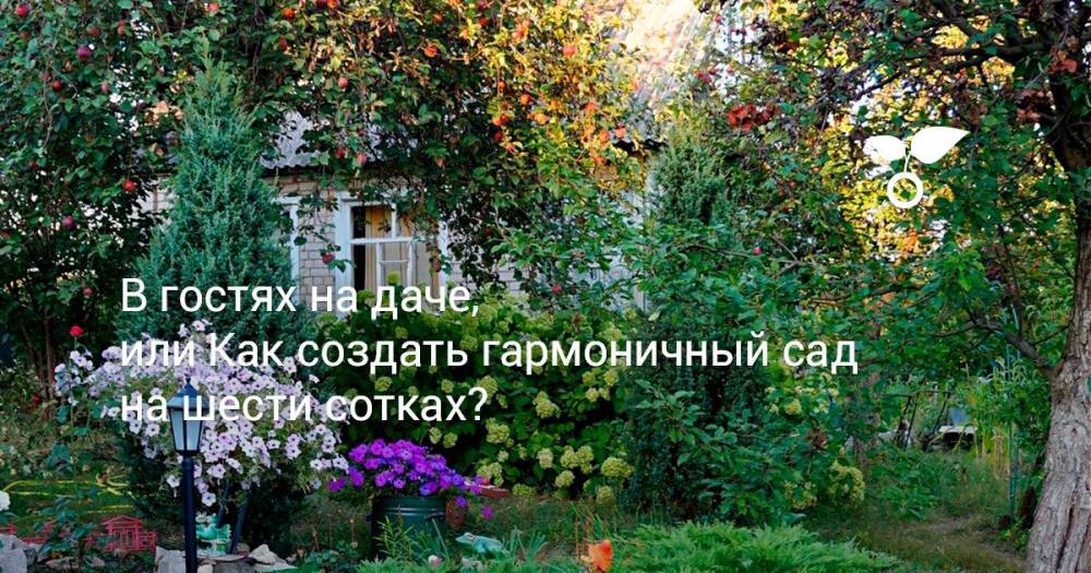В гостях на даче, или Как создать гармоничный сад на шести сотках? - botanichka.ru