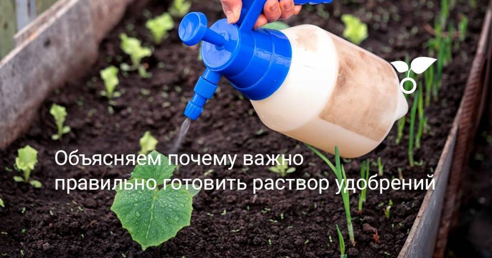 Объясняем почему важно правильно готовить раствор удобрений - botanichka.ru