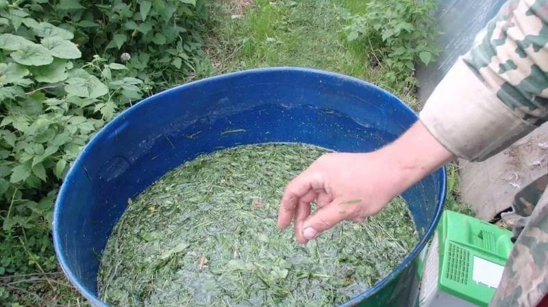 6 полезных применений травы, скошенной на газоне - orchardo.ru