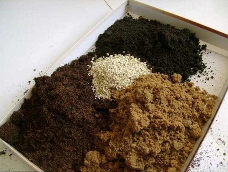 Как сделать почвосмесь для разных видов рассады своими руками - 7ogorod.ru