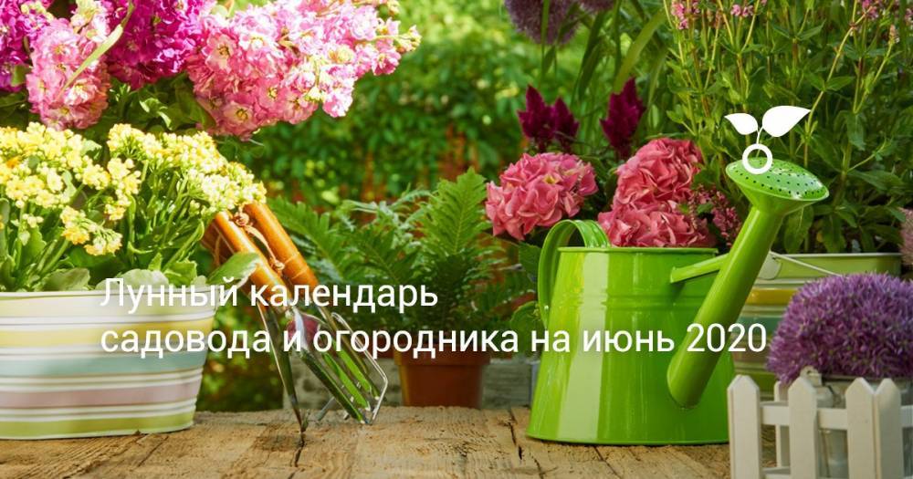 Лунный календарь садовода и огородника на июнь 2020 - botanichka.ru - Россия