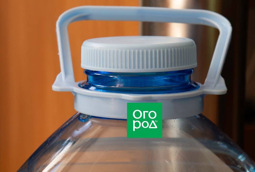 7 способов применения 5-литровых пластиковых бутылок на даче - ogorod.ru