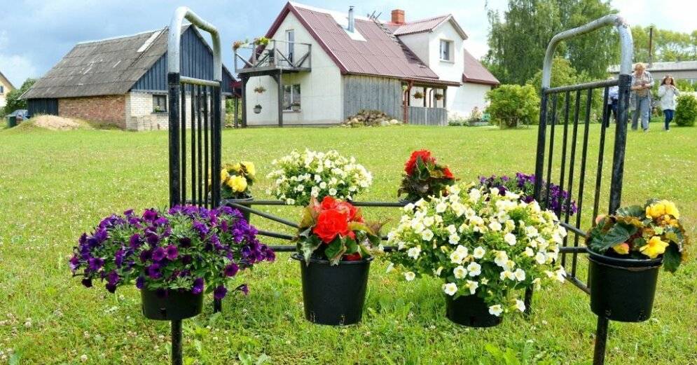 ФОТО. Не только на клумбе: оригинальные места для цветов в самых красивых садах Латвии