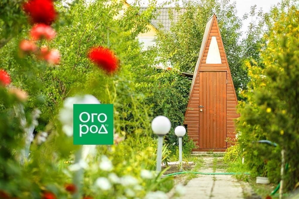 7 способов избавиться от запаха в дачном туалете - ogorod.ru