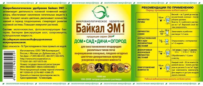 Обработка винограда Байкалом ЭМ 1 - sad-dacha-ogorod.com