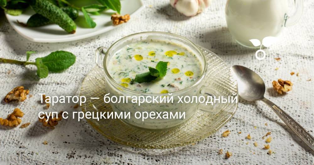 Таратор — болгарский холодный суп с грецкими орехами - botanichka.ru
