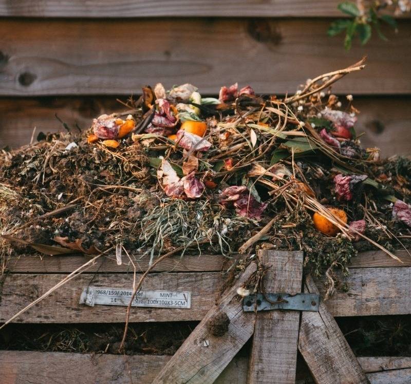 5 простых способов в два раза ускорить созревание компоста