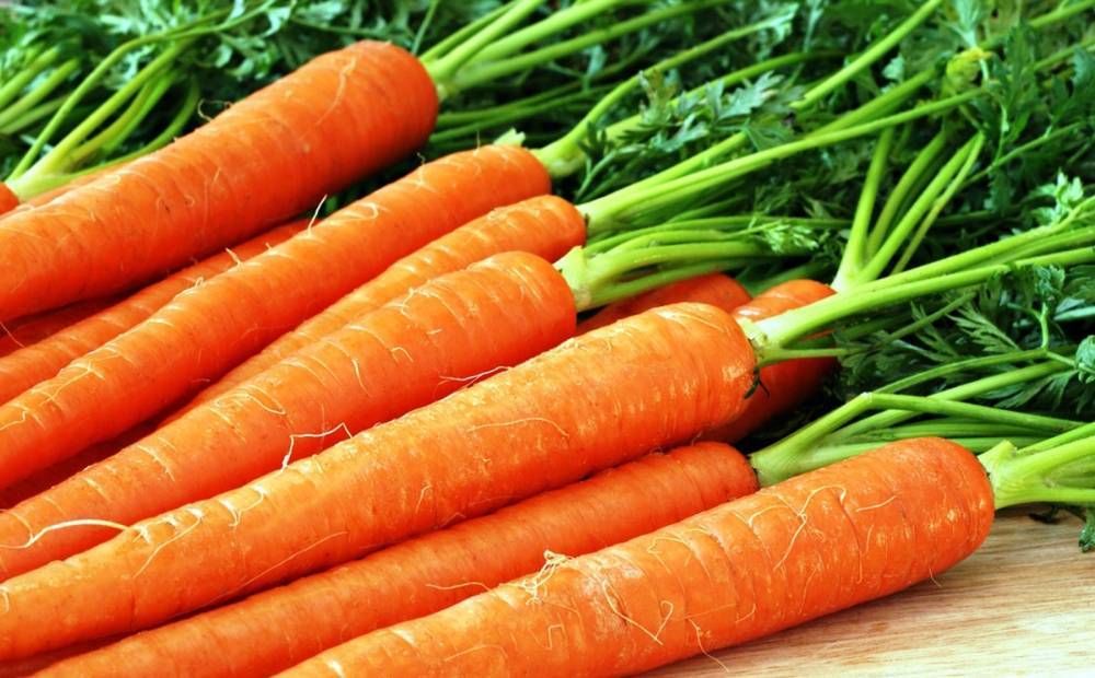Как сохранить морковь: современные способы хранения