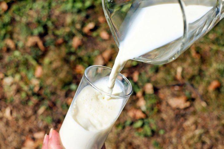 Как использовать молоко на даче: 3 неожиданных способа