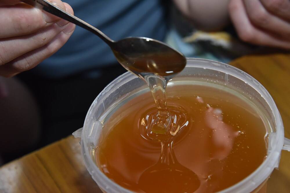 Чем хорош уральский мёд и как его выбрать?