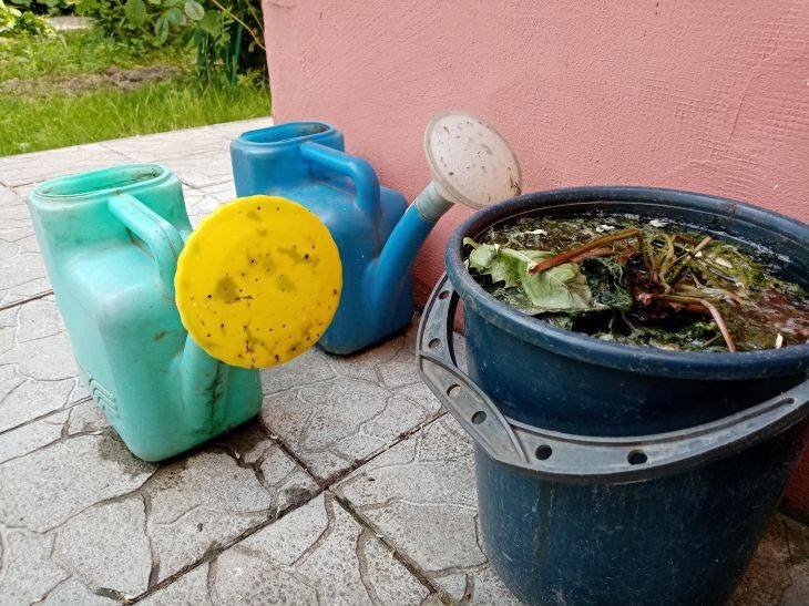 Как отмыть тару от зелени и других загрязнений: 4 способа