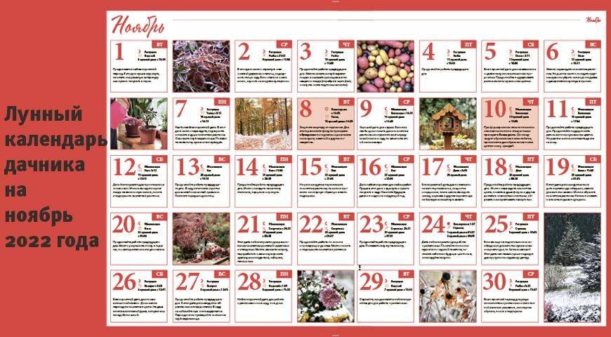 Лунный посевной календарь садовода, цветовода и огородника на ноябрь 2022 года