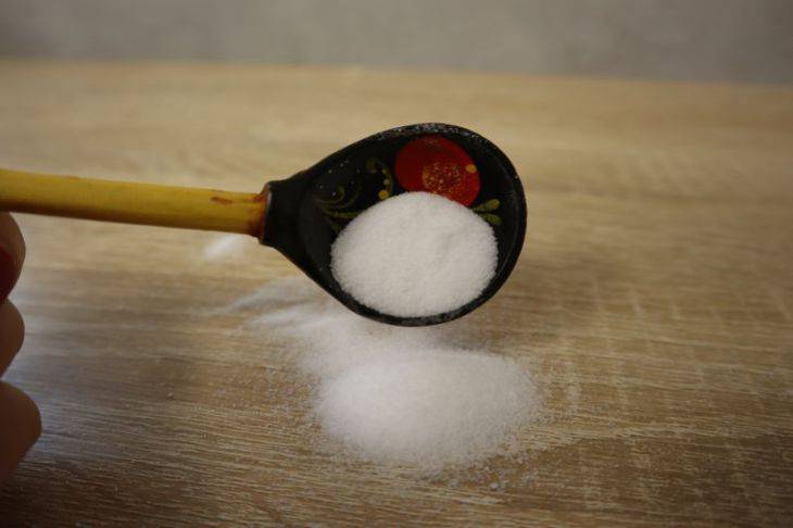 Зачем дачникам может понадобиться соль: 3 необычных способа использования соли в саду и огороде