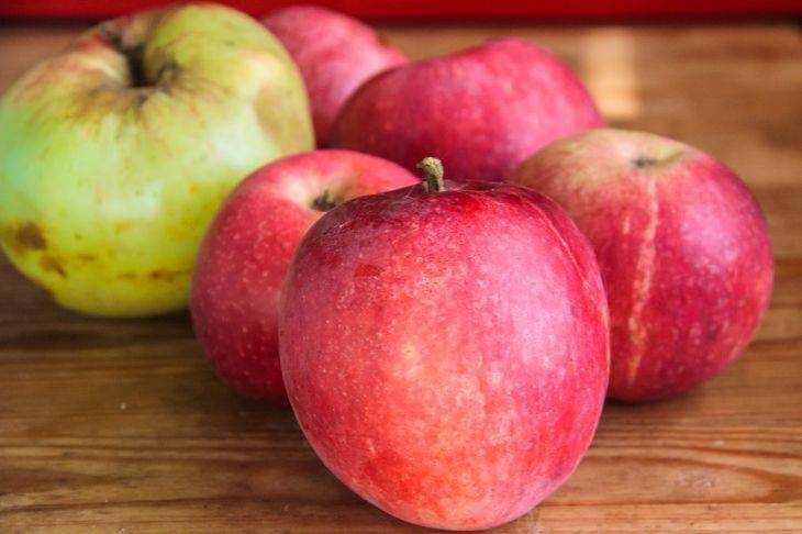Чем обработать груши и яблоки, чтобы хранились до самой весны
