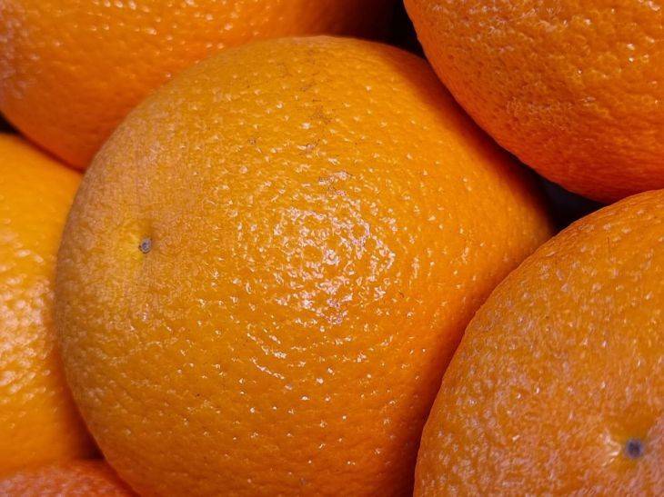 Как апельсин помогает победить паутинного клеща: дачная хитрость