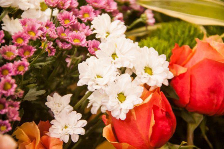 Как укоренить хризантемы из букета: самый простой способ от смекалистых цветоводов
