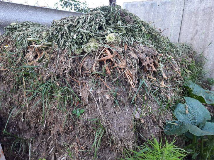 Нужно ли укрывать компост на зиму: на заметку начинающим огородникам
