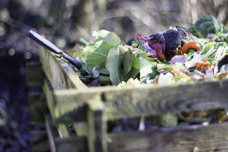 5 видов отходов, которые нельзя класть в компост: грубые ошибки огородников