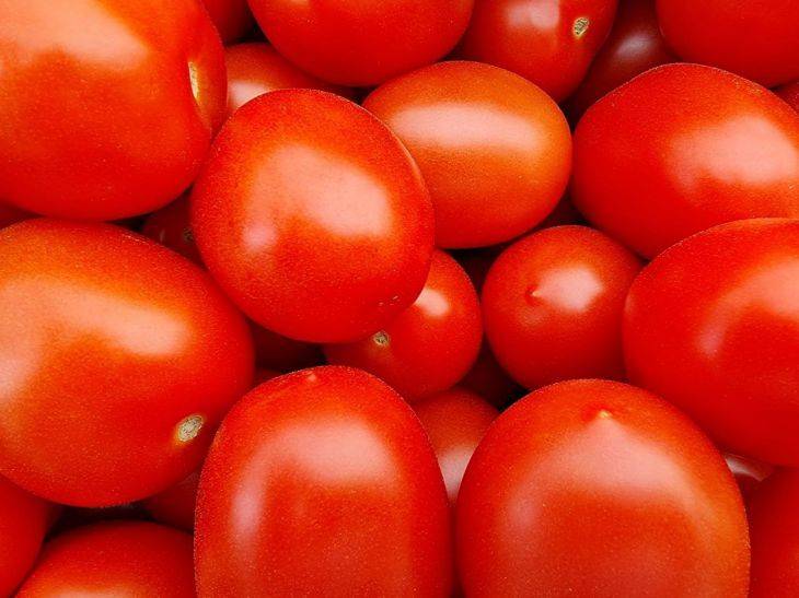 3 правила хранения и дозревания зелёных томатов: что нужно знать, чтобы были красные помидоры на Новый год