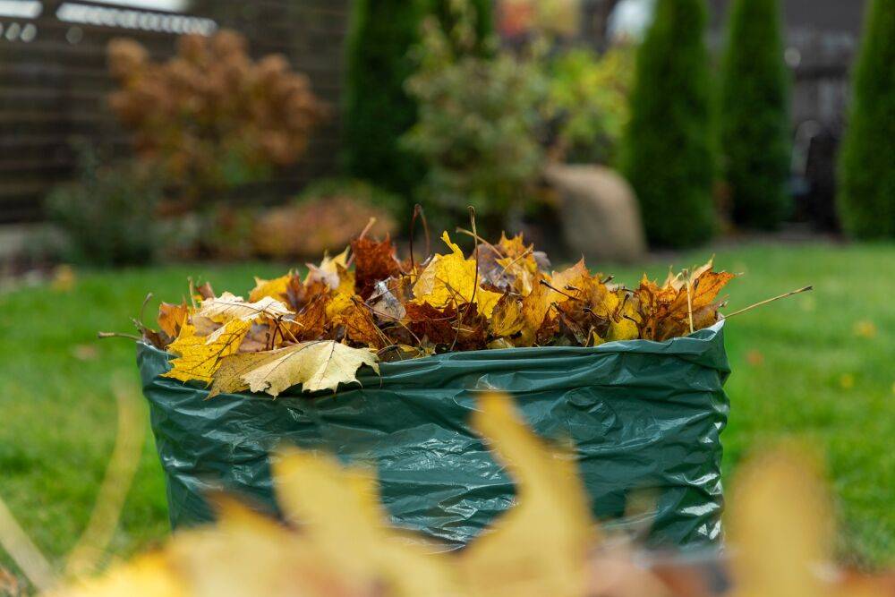 5 способов использовать опавшие осенние листья на даче