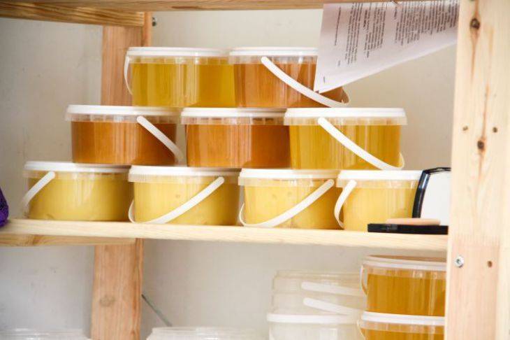 Как использовать мед в качестве укоренителя: подробная инструкция от опытных дачников