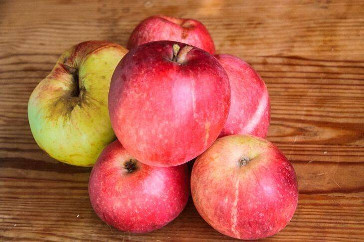 Можно ли есть яблоки с наростами: в чем причина явления
