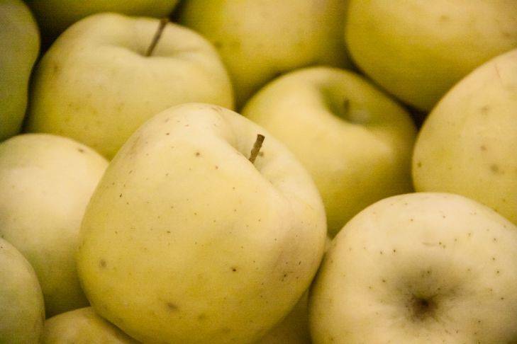 Как хранить картошку рядом с яблоками: секреты, о которых следует знать