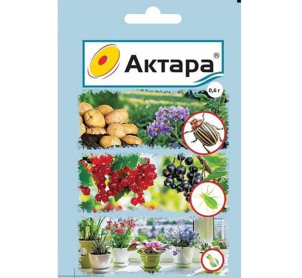 Актара: инструкция по применения для садовых и комнатных растений для обработки от вредителей