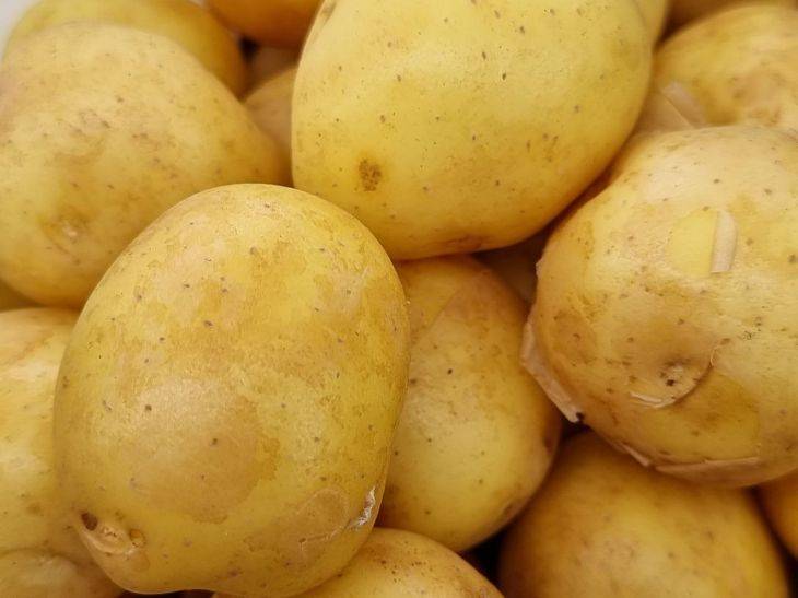 Какую картошку лучше сажать: крупную или мелкую