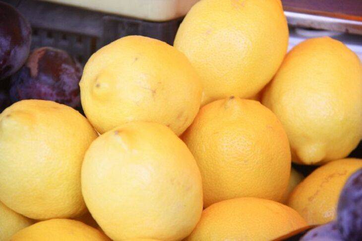 Как привить лимон, чтобы он хорошо плодоносил
