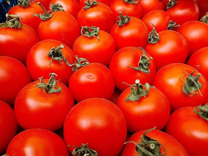 Правила выращивания высокорослых томатов: чем подвязывать кусты