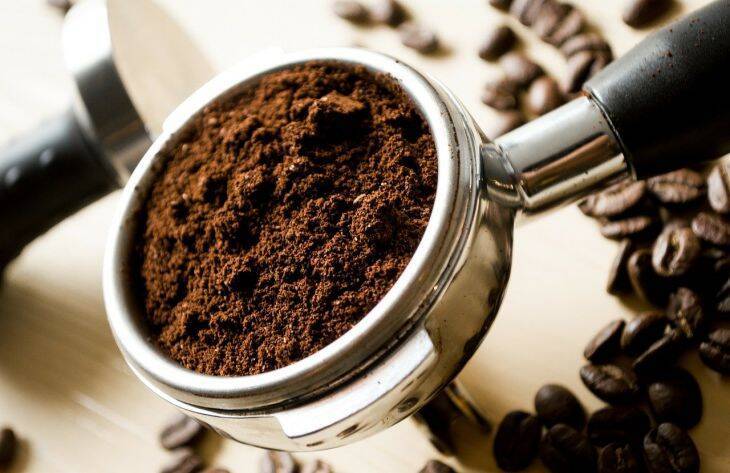 Как правильно подкармливать растения кофейной гущей: несколько секретов опытных дачников