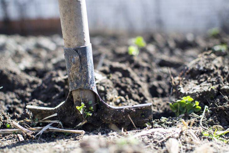 Что внести на огород, чтобы из глинистой почвы сделать рыхлую и плодородную землю