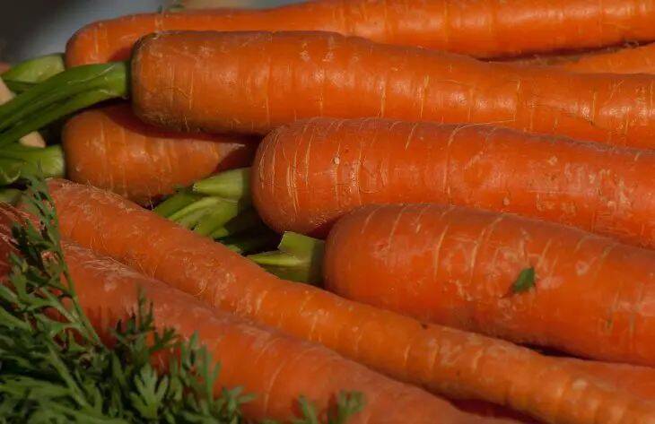 Хитрость с мешочком, чтобы ускорьте прорастание морковки, сбив с толку семена