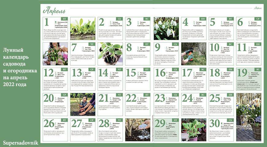 Лунный посевной календарь садовода, цветовода и огородника на апрель 2022 года