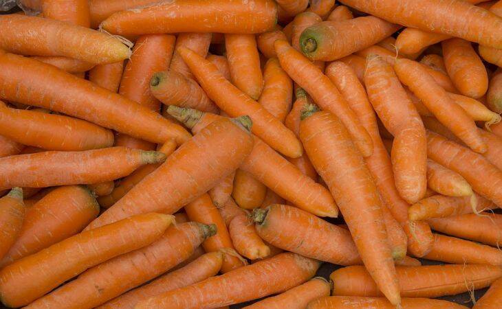 Без этих 3 хитрых приемов весной, урожай моркови даже не взойдет: что должен знать дачник