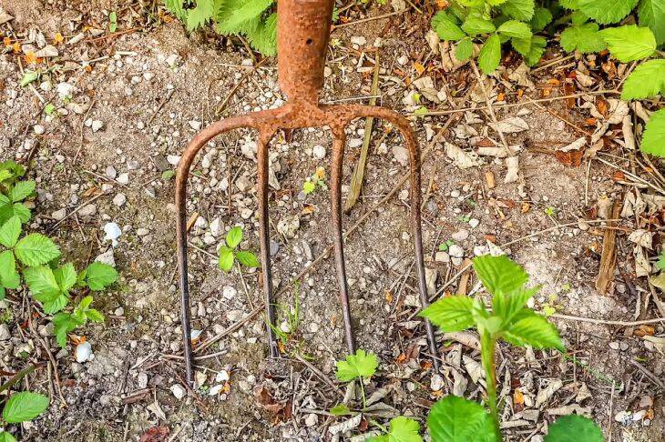 Как испортить компост: популярные ошибки начинающих садоводов