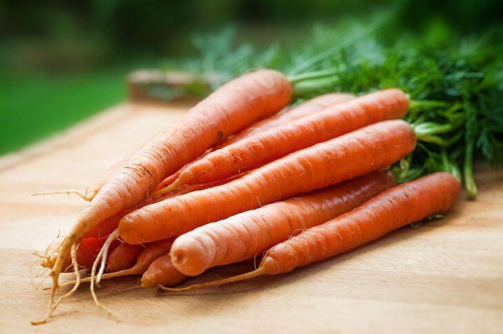 Чем полить морковь, чтобы росла сладкая и сочная: 4 правила подкормки