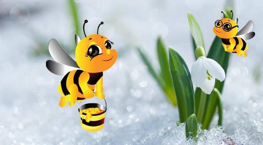 Подснежниковый мед: все секреты самого секретного в мире меда