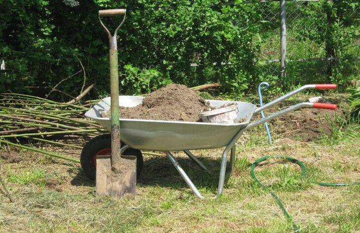 Как часто нужно перекапывать почву на участке: 4 хитрости для огородников