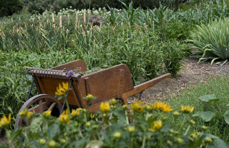 Что нужно сделать, чтобы не копать огород каждый год: деревенская хитрость