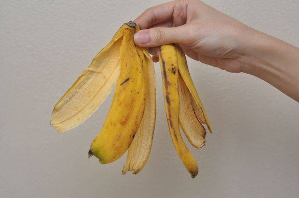 Удобрение из банановой кожуры для рассады и комнатных растений: рецепты для подкормок и обработок
