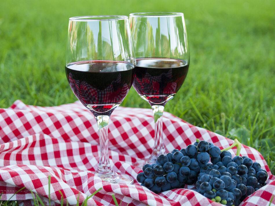 Вино из винограда Изабелла: интересные рецепты