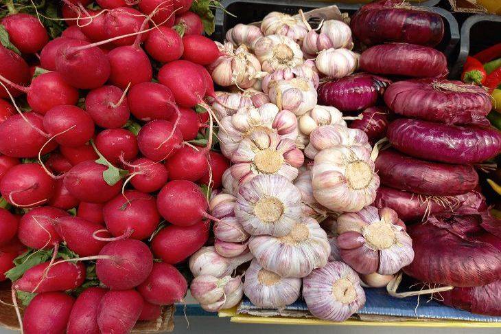 Когда и чем подкормить редис: секреты богатого урожая