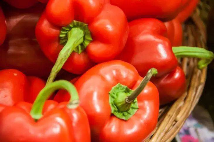 6 советов по выращиванию перца – и пятый самый важный: запишите, обязательно пригодится