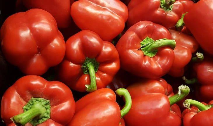 Чем подкармливать болгарский перец: урожай удивит соседей-огородников